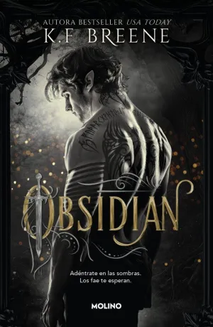 LOS FAE DE LAS SOMBRAS 1 - OBSIDIAN